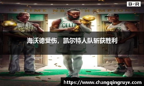 1xBET网址