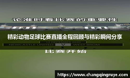 1xBET网址