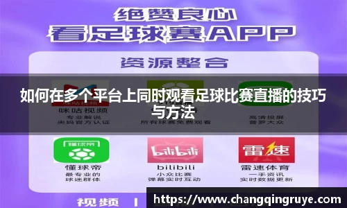 1xBET网址
